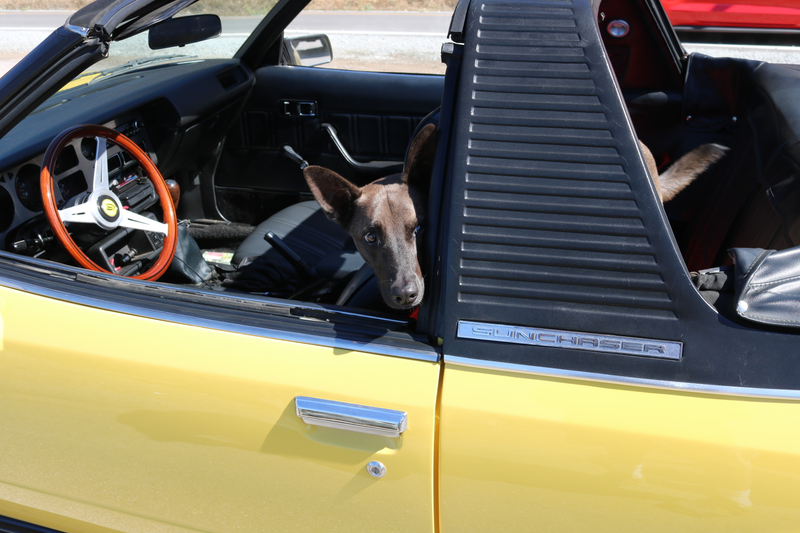 Illustration for article titled Sunday road trip photodump part 2